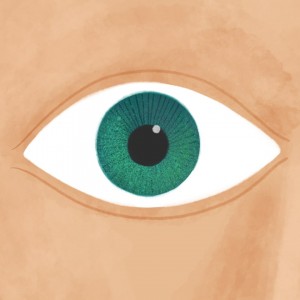 Eyeball